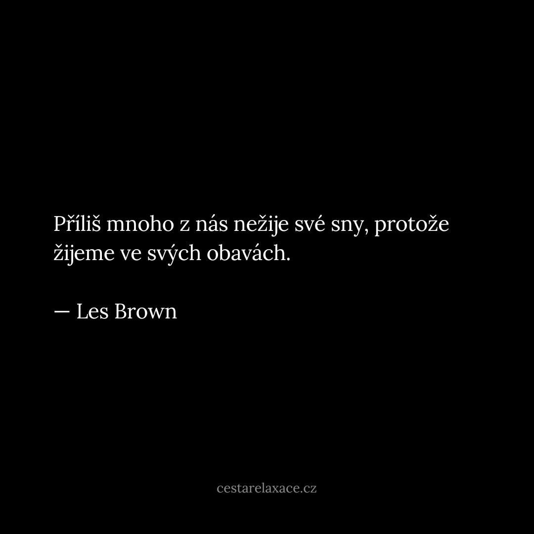 citat-o-zivote-les-brown