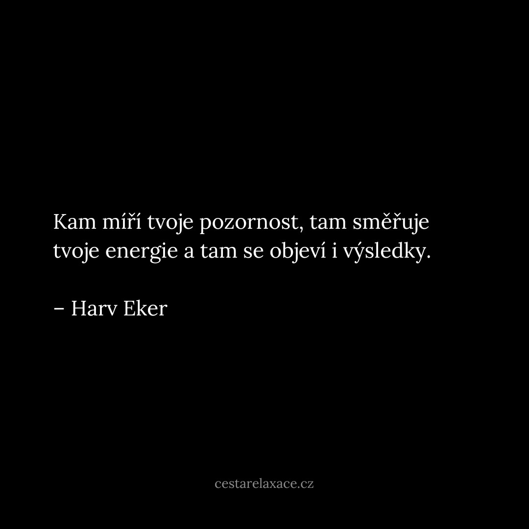 motivacni-citat-harv-eker