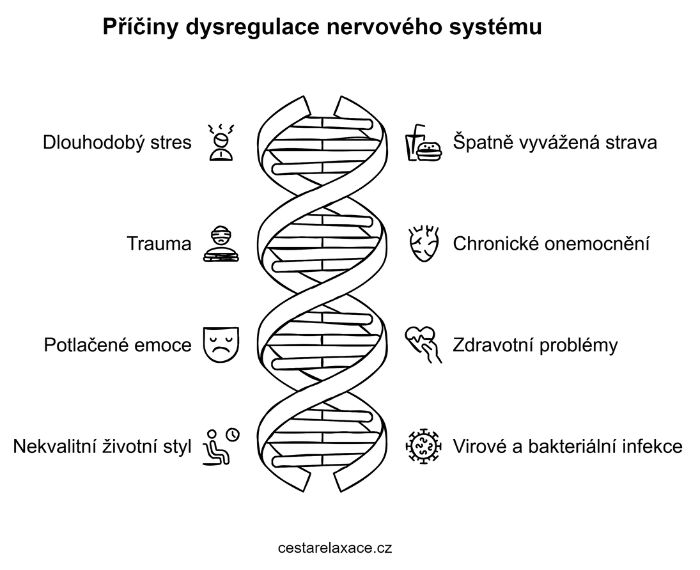 priciny-dysregulace-nervoveho-systemu-infografika