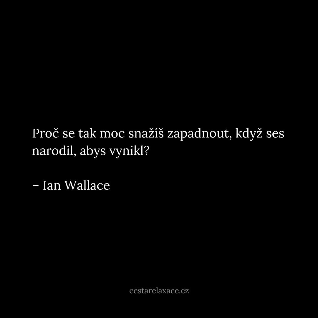 citát o sebepřijetí - Ian Wallace