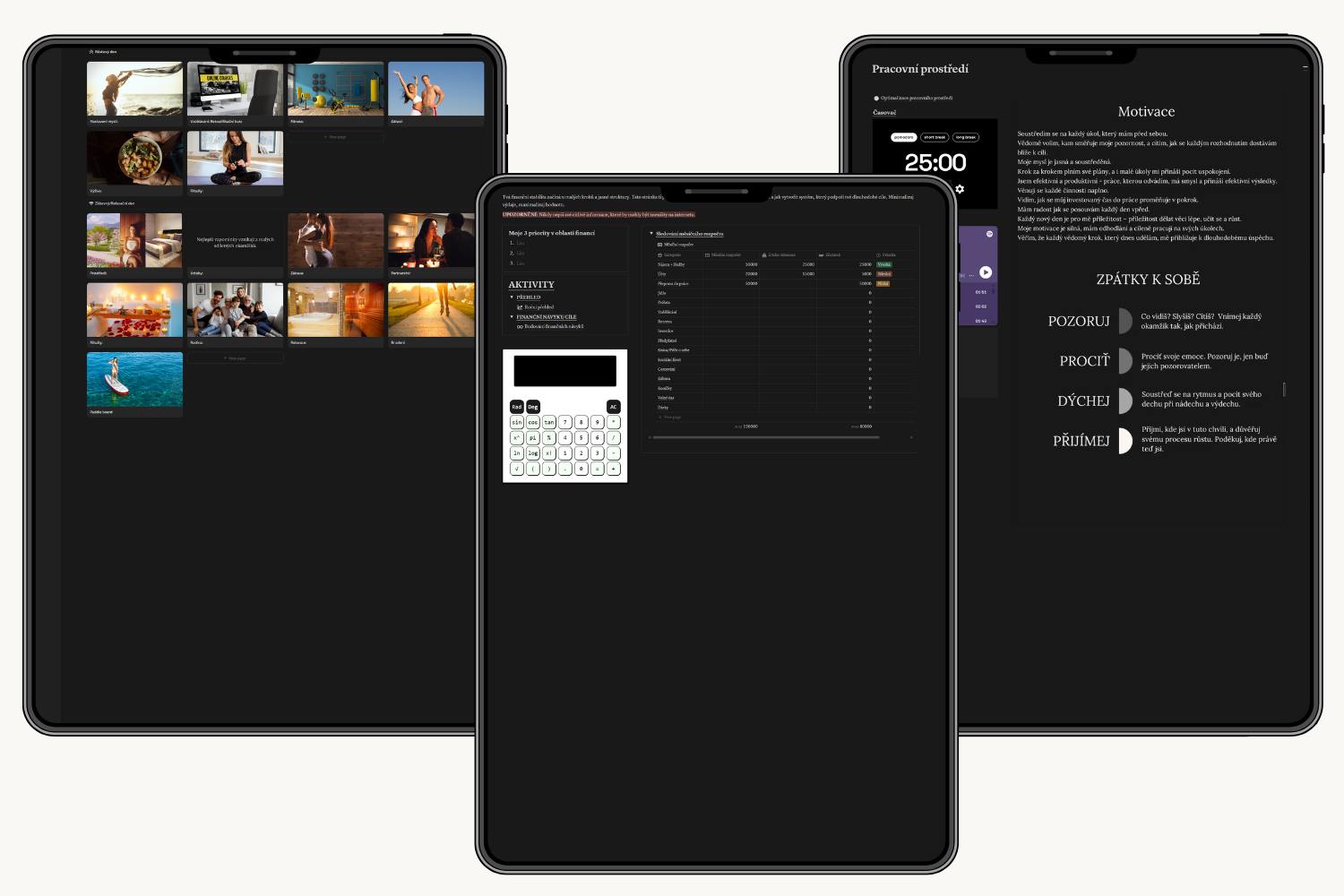 Notion šablona - Optimalizace života